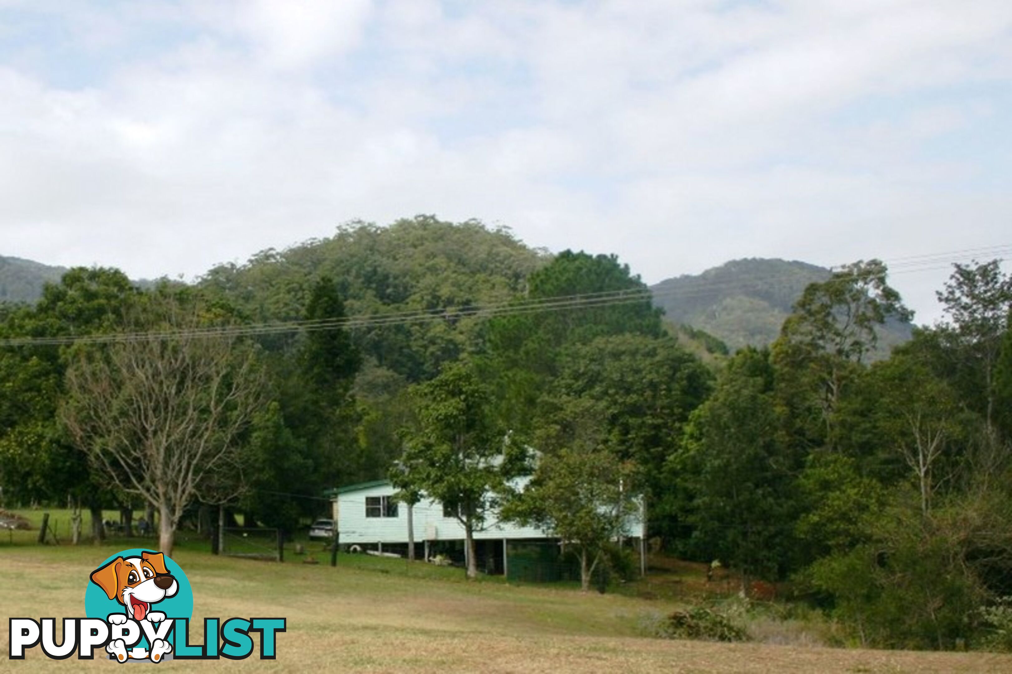 3135 Nerang-Murwillumbah Road NATURAL BRIDGE QLD 4211