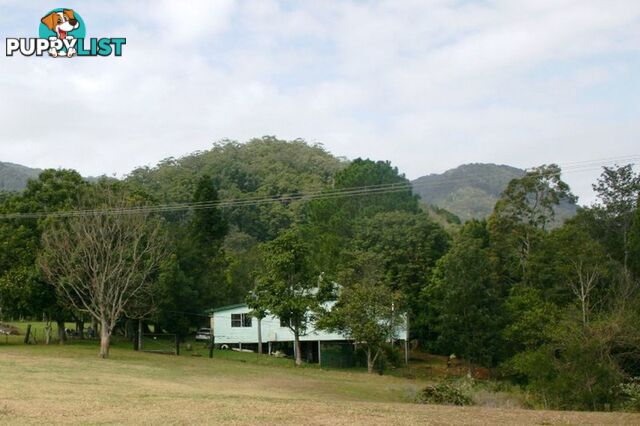 3135 Nerang-Murwillumbah Road NATURAL BRIDGE QLD 4211