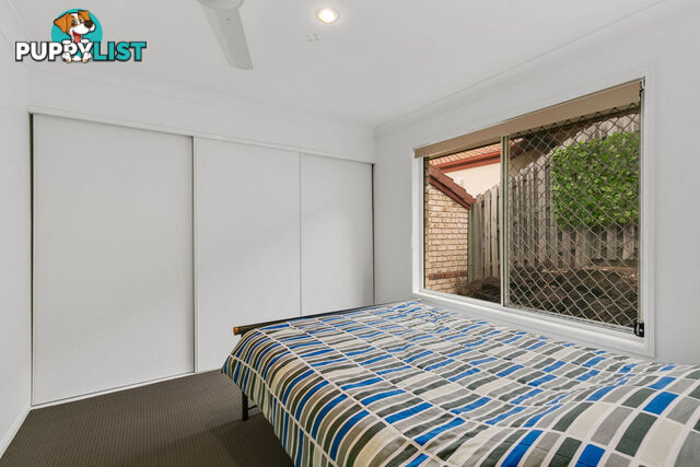 17 Red Ash Court MERRIMAC QLD 4226