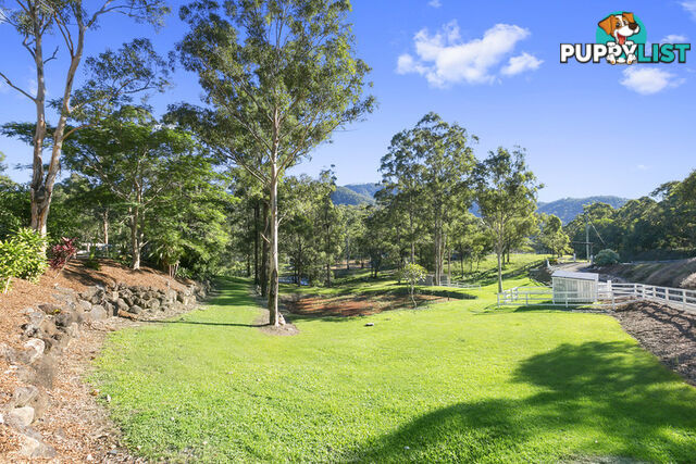 326 Clagiraba Road Mount Nathan QLD 4211