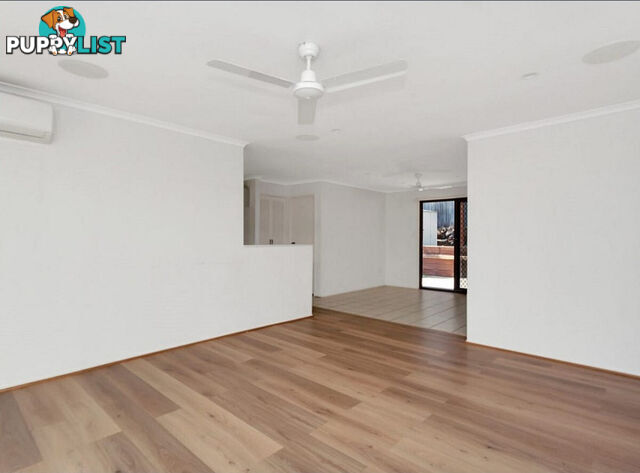 6 Appleblossom Place NERANG QLD 4211