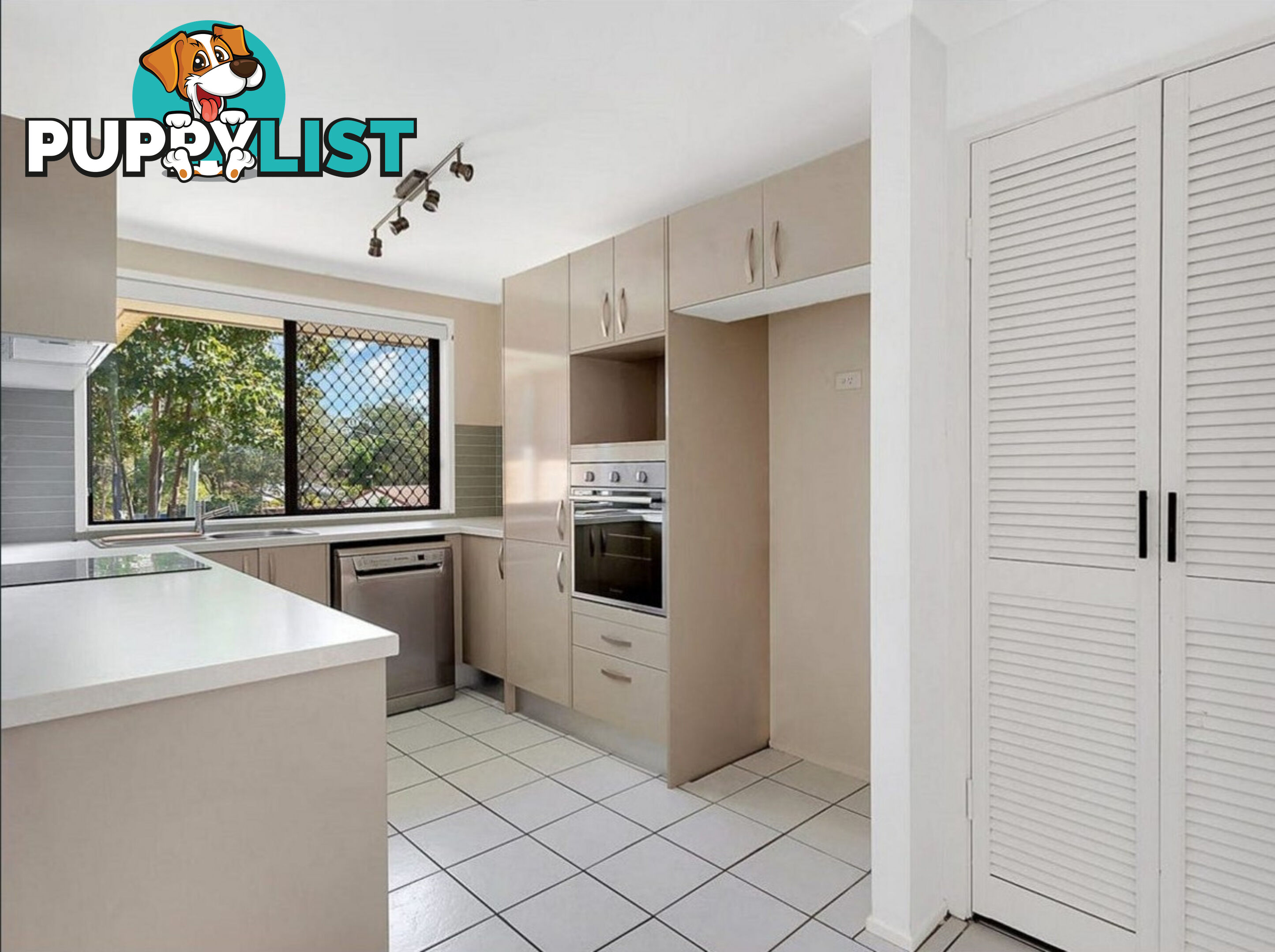 6 Appleblossom Place NERANG QLD 4211
