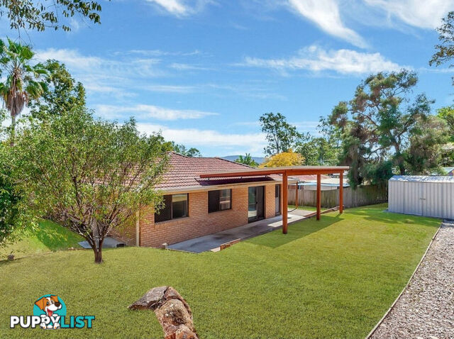 6 Appleblossom Place NERANG QLD 4211