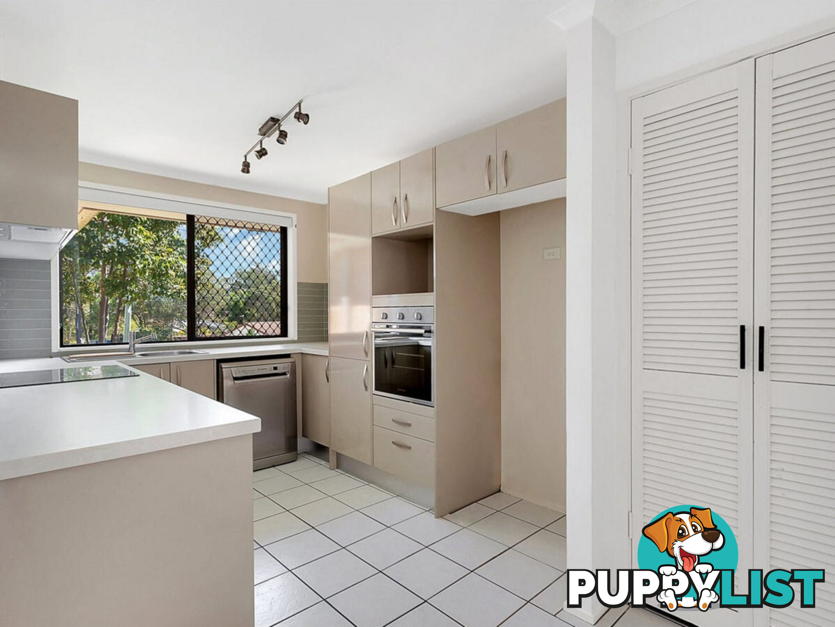 6 Appleblossom Place NERANG QLD 4211