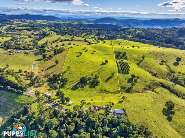 1696 Beechmont Road BEECHMONT QLD 4211