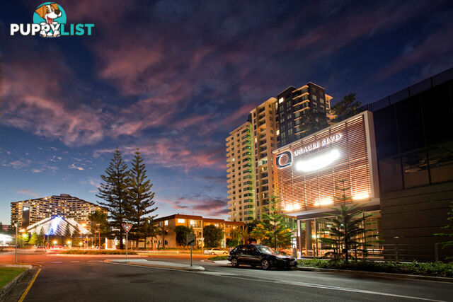 21207/21 Elizabeth Avenue BROADBEACH QLD 4218