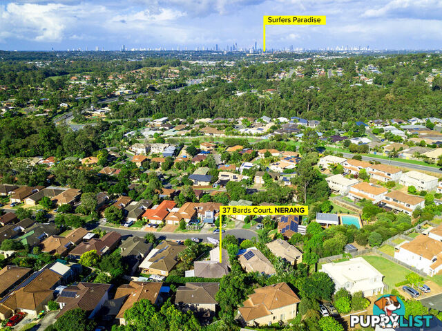 37 Bards Court NERANG QLD 4211