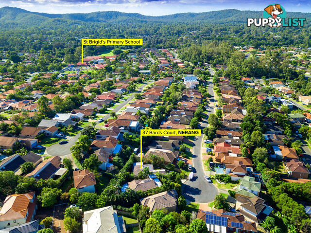 37 Bards Court NERANG QLD 4211