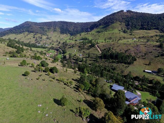 601 Illinbah Road Illinbah QLD 4275