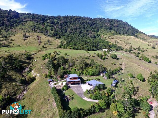 601 Illinbah Road Illinbah QLD 4275