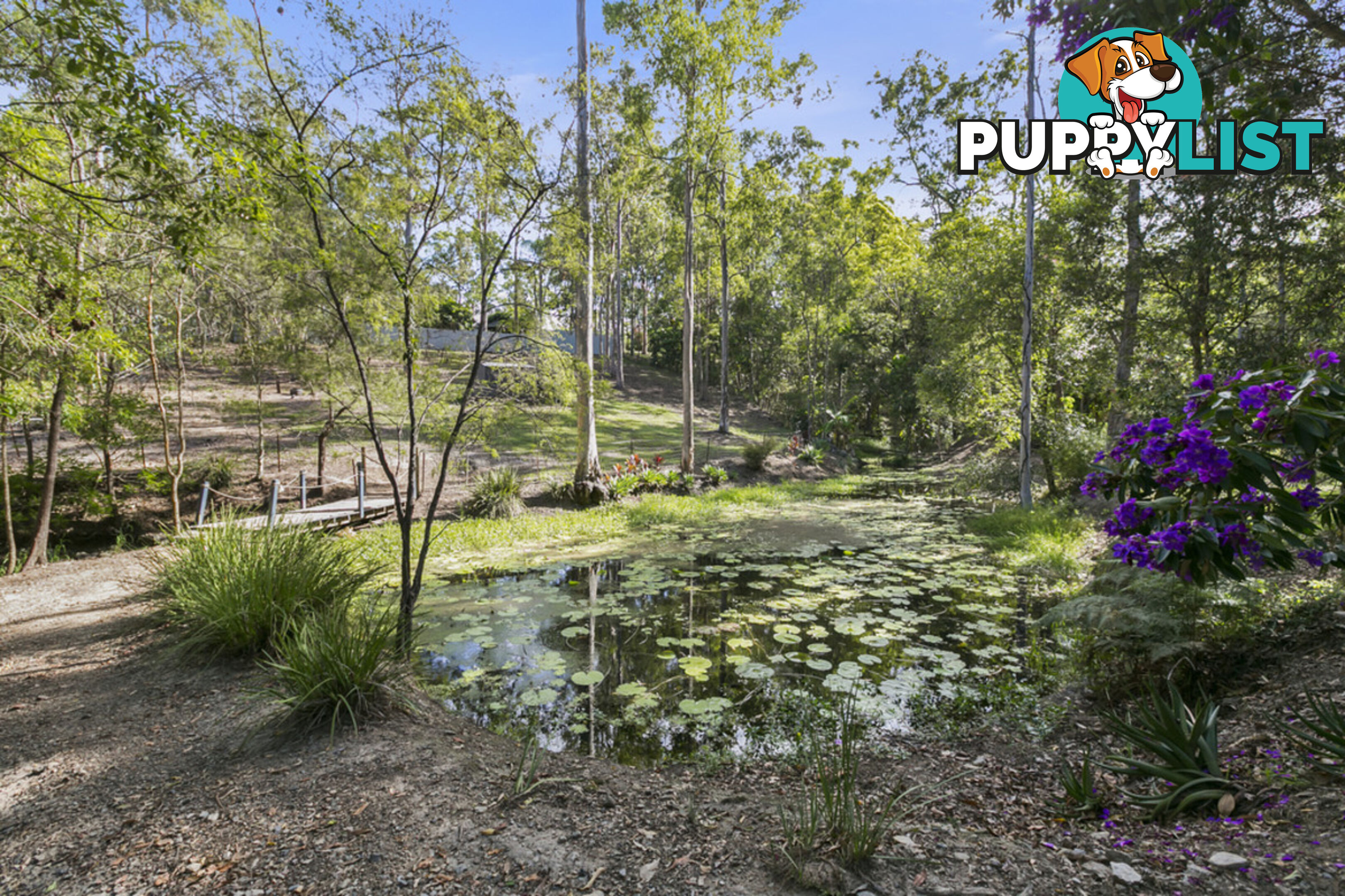 26 Coolibah Road GAVEN QLD 4211