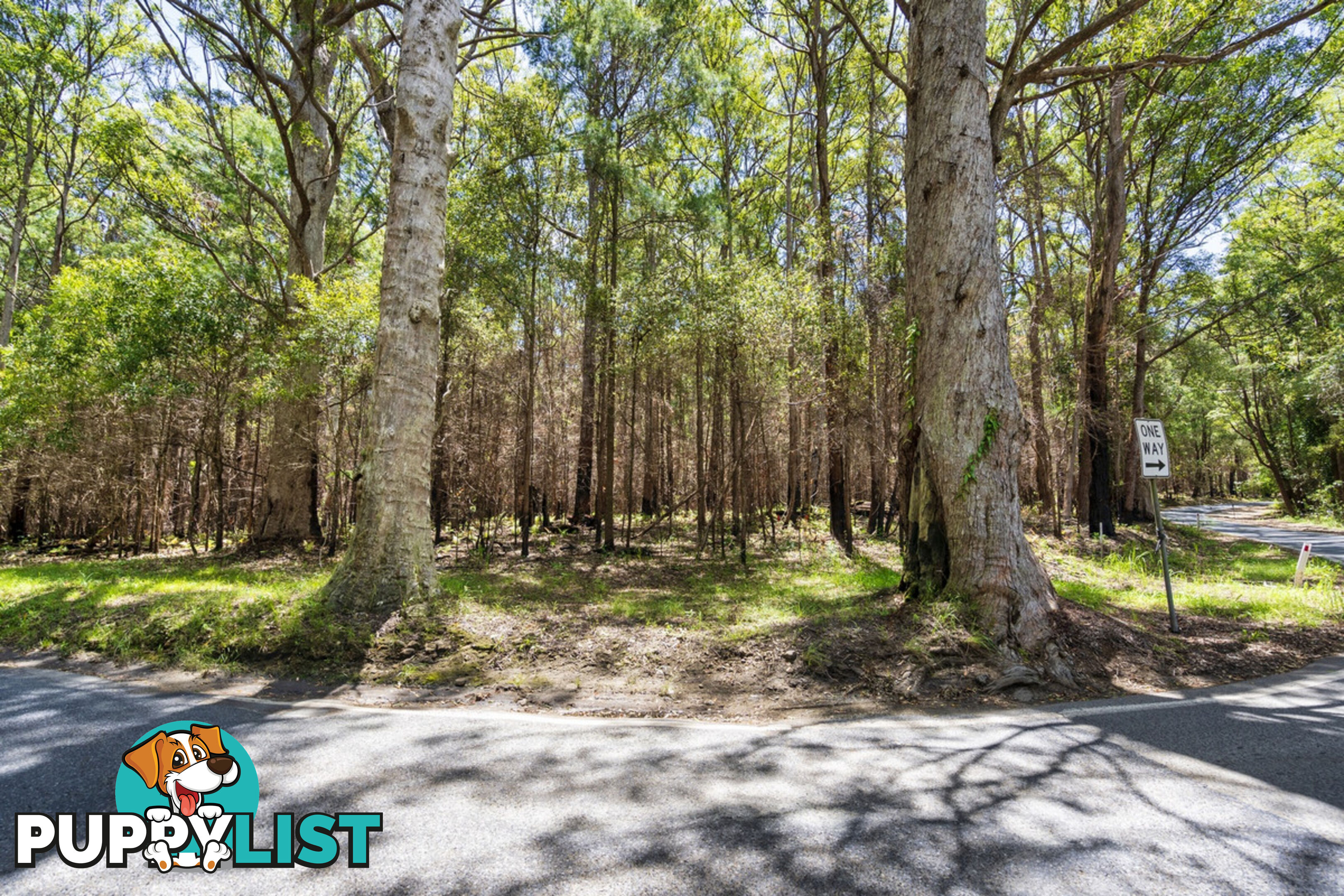 1934 Springbrook Road SPRINGBROOK QLD 4213