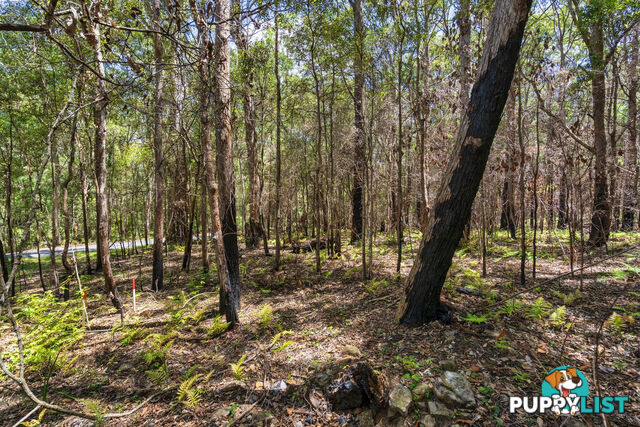 1934 Springbrook Road SPRINGBROOK QLD 4213