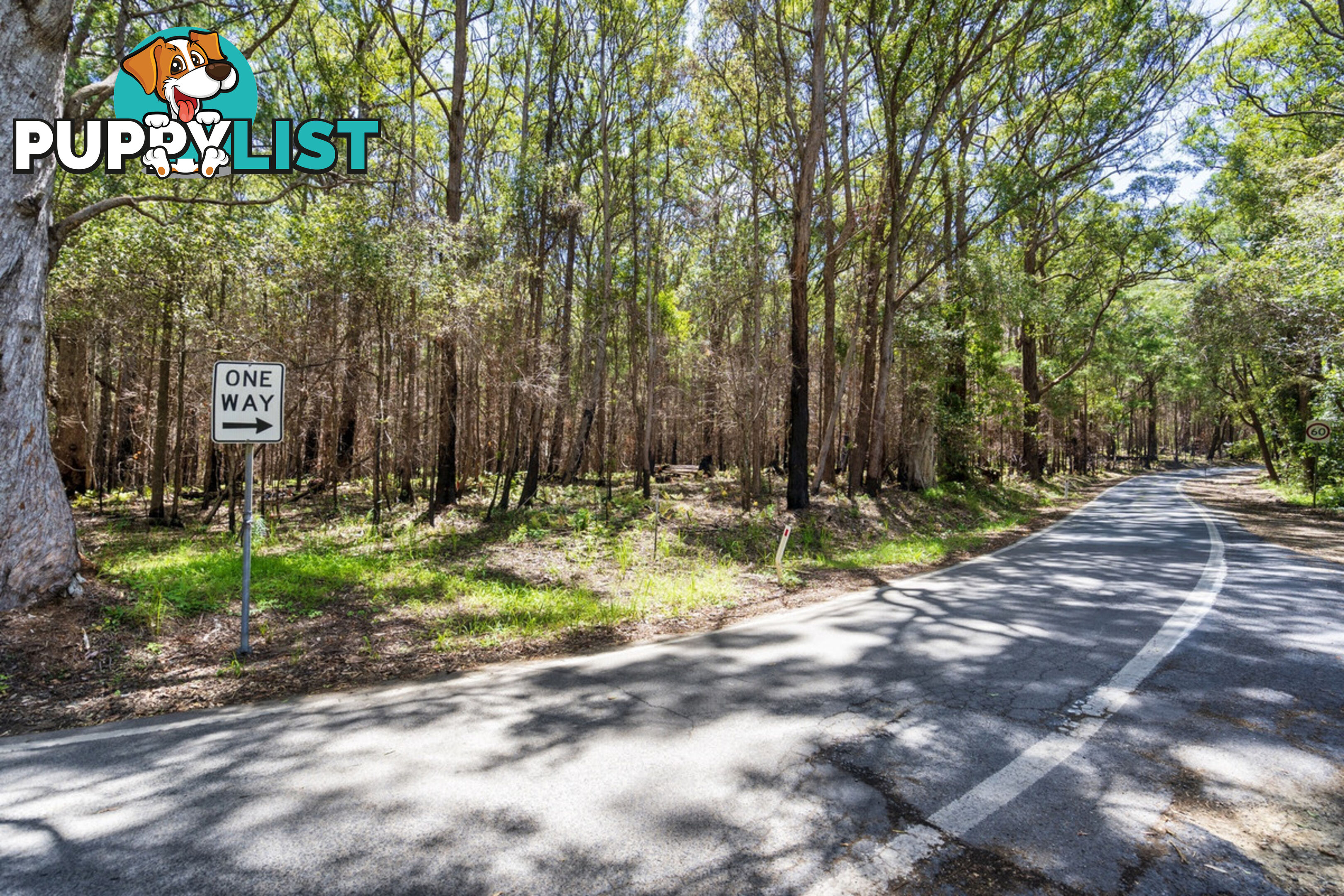 1934 Springbrook Road SPRINGBROOK QLD 4213