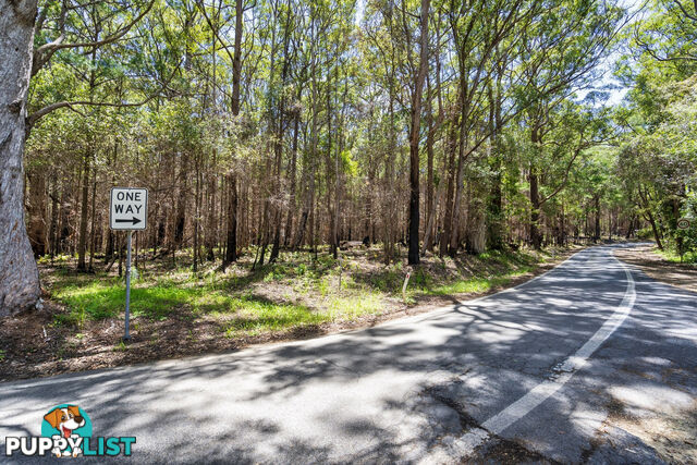 1934 Springbrook Road SPRINGBROOK QLD 4213