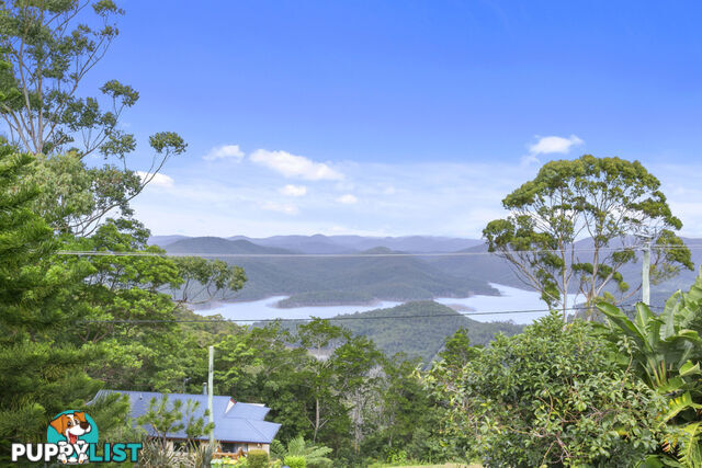 660 Beechmont Road LOWER BEECHMONT QLD 4211