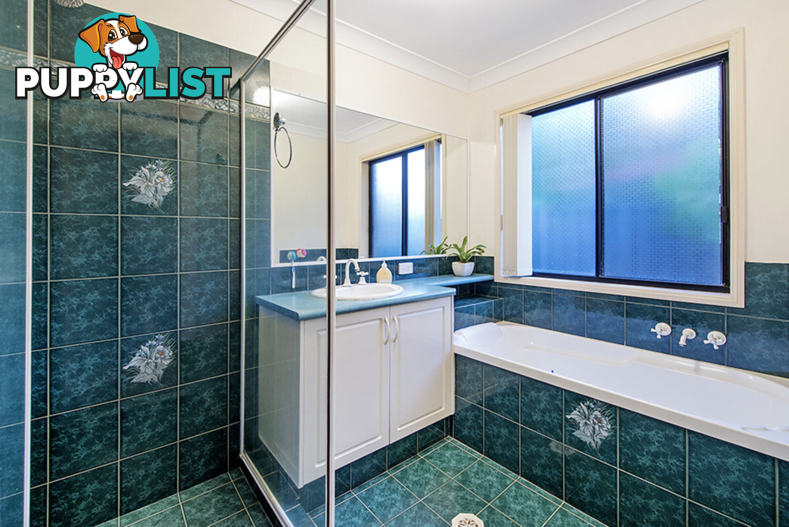 12 Eudonia Court ELANORA QLD 4221