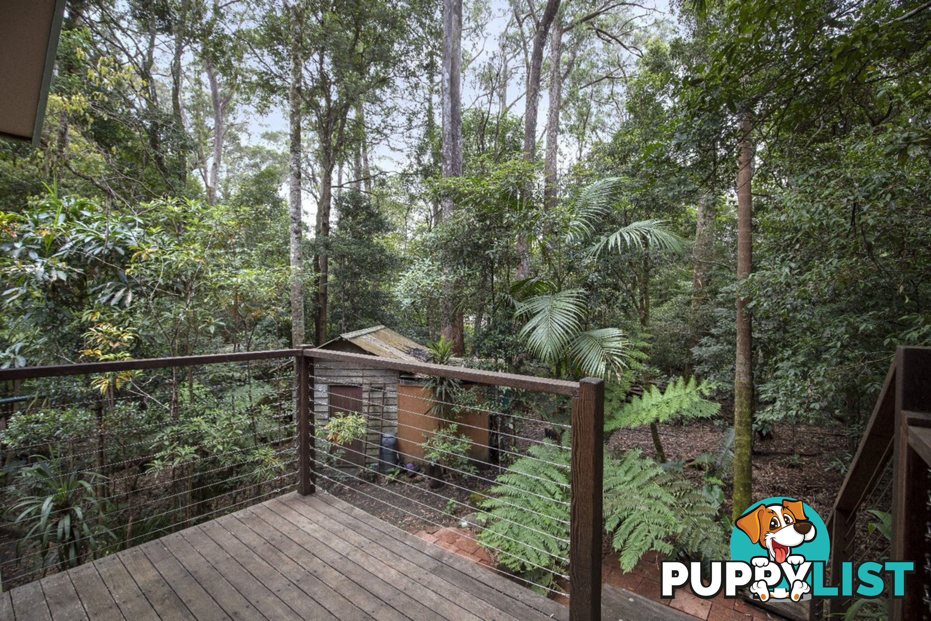 33 Banksia Road SPRINGBROOK QLD 4213