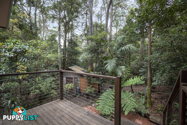 33 Banksia Road SPRINGBROOK QLD 4213