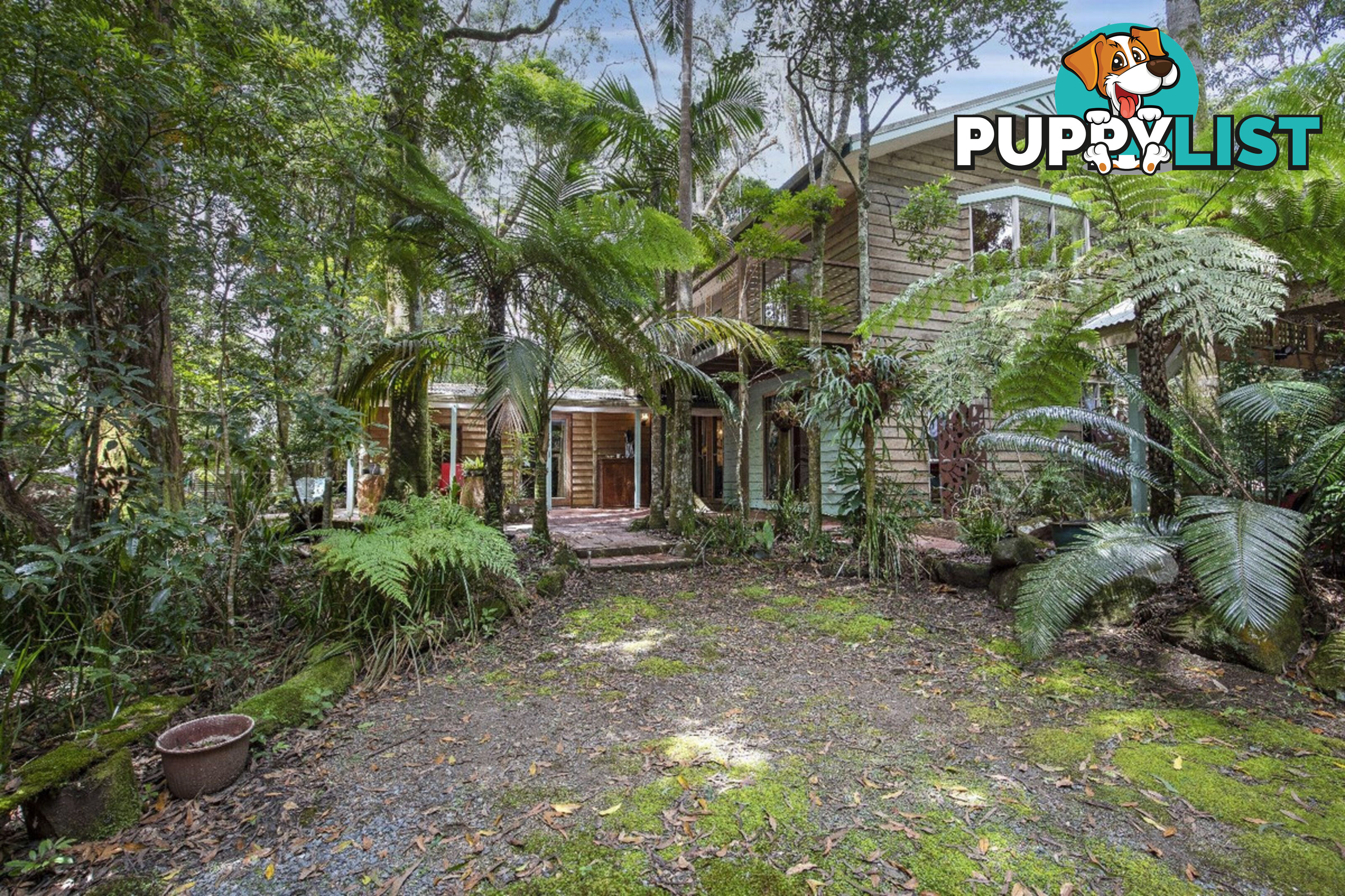 33 Banksia Road SPRINGBROOK QLD 4213