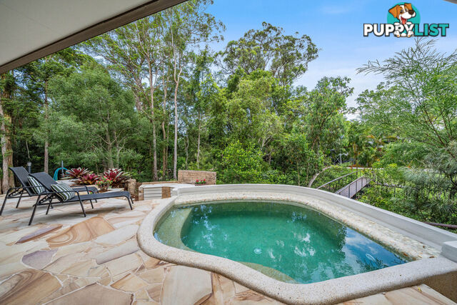 57 Birdlife Court NERANG QLD 4211