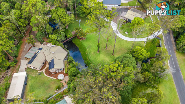 57 Birdlife Court NERANG QLD 4211