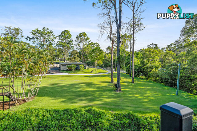 57 Birdlife Court NERANG QLD 4211