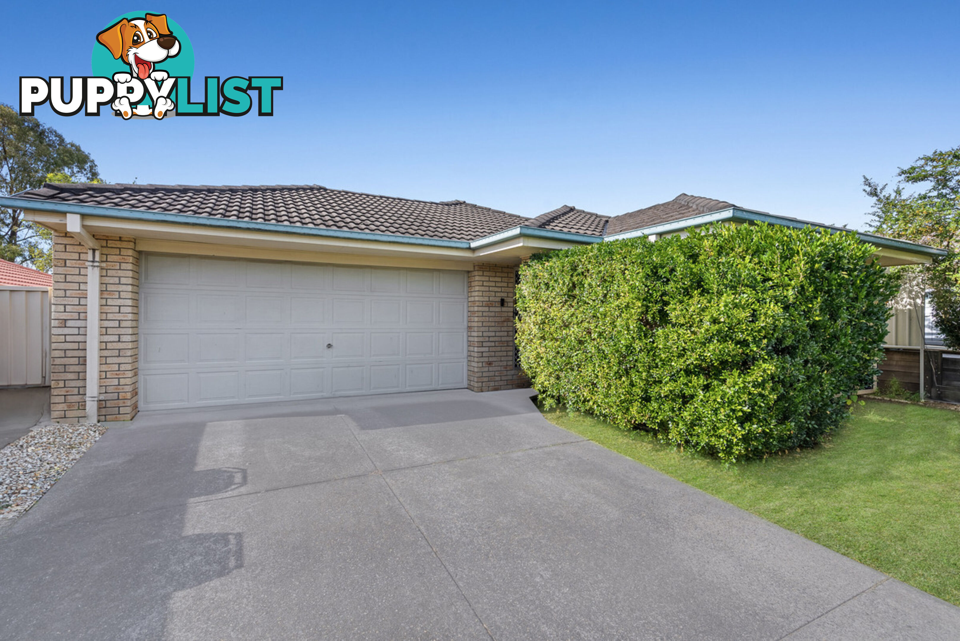 16 Inverness Court NERANG QLD 4211