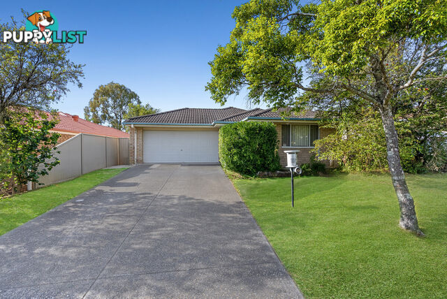 16 Inverness Court NERANG QLD 4211