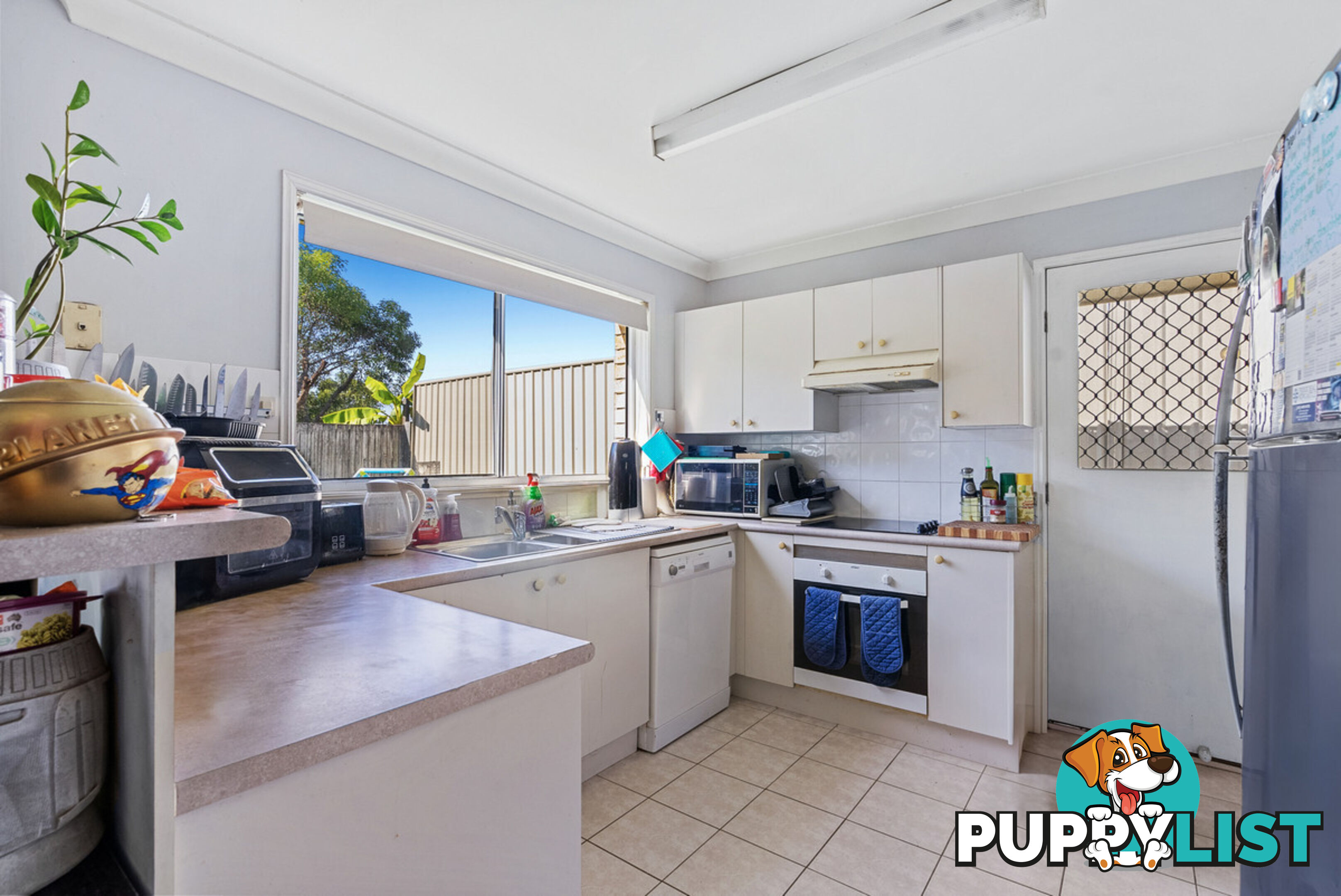 16 Inverness Court NERANG QLD 4211