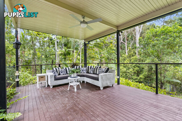 53 Winderadeen Drive HIGHLAND PARK QLD 4211