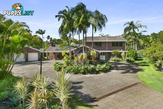 6 Cuthero Court HIGHLAND PARK QLD 4211