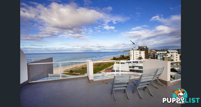 403a/1483-1489 Gold Coast Highway PALM BEACH QLD 4221