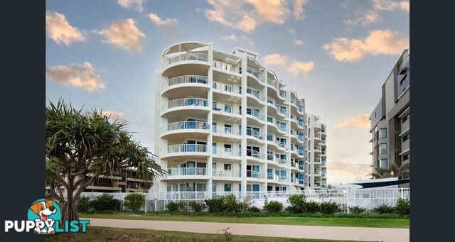 403a/1483-1489 Gold Coast Highway PALM BEACH QLD 4221