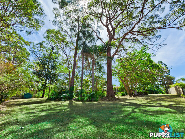 5 Lutana Street NERANG QLD 4211