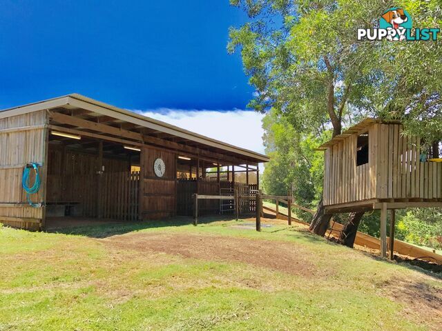 14 Bush Knoll Place MOUNT NATHAN QLD 4211