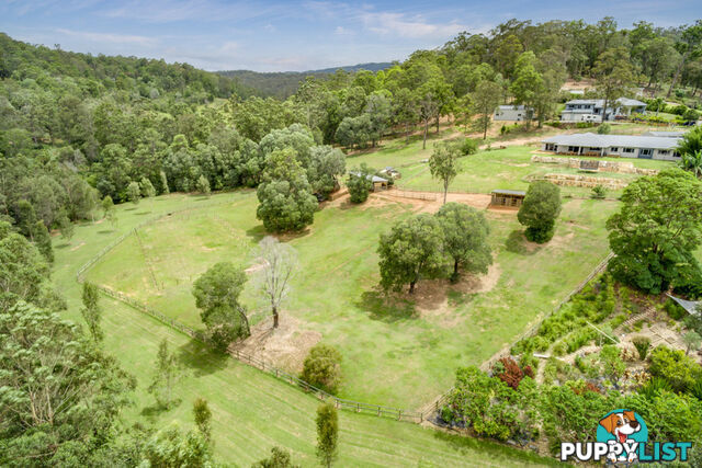 14 Bush Knoll Place MOUNT NATHAN QLD 4211