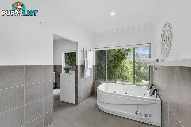 14 Bush Knoll Place MOUNT NATHAN QLD 4211