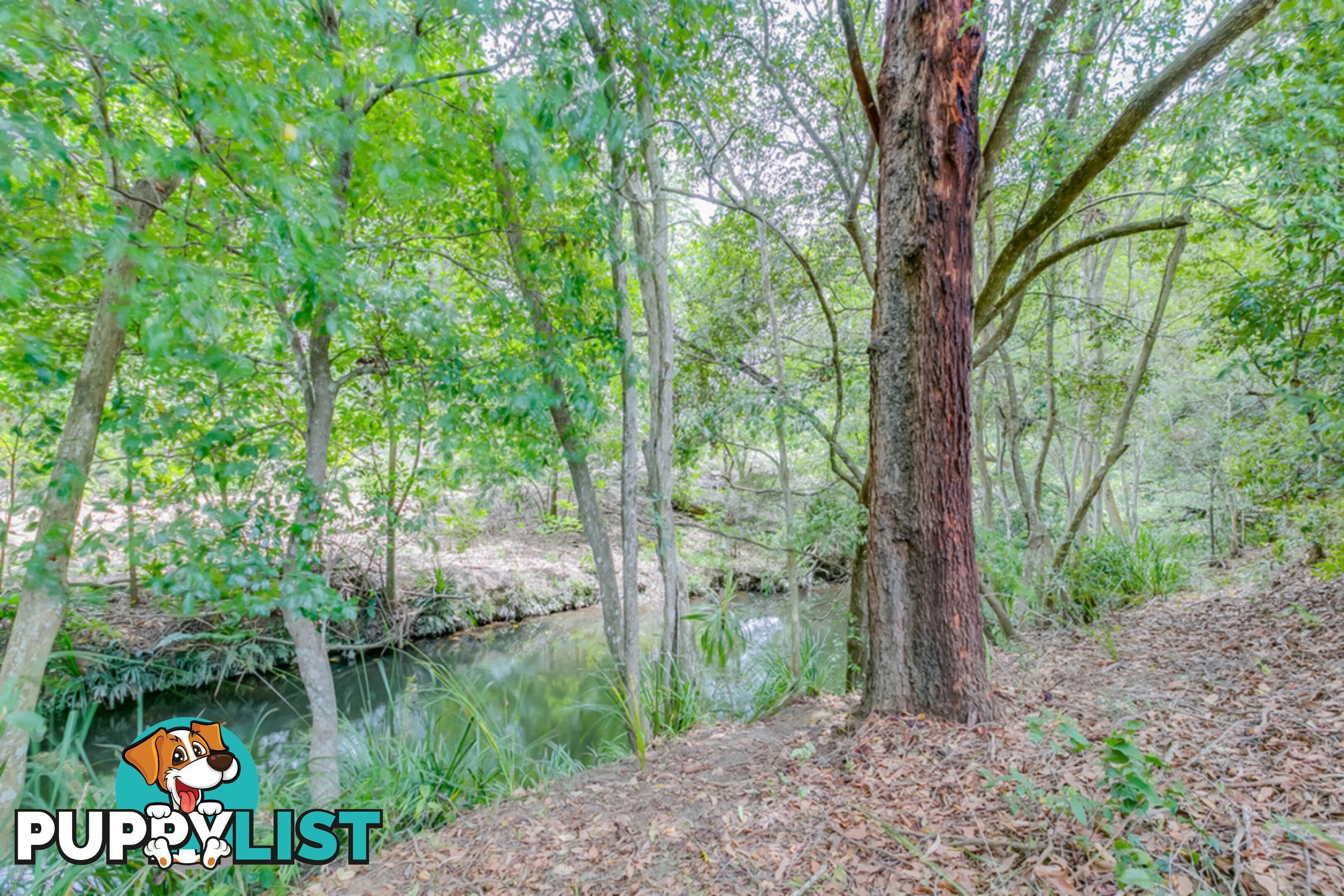 14 Bush Knoll Place MOUNT NATHAN QLD 4211