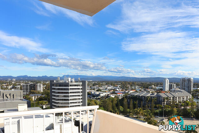 129/3049 Trickett Street SURFERS PARADISE QLD 4217