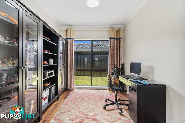 13 Haddon Court CARRARA QLD 4211