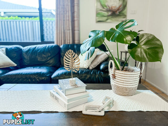 13 Haddon Court CARRARA QLD 4211