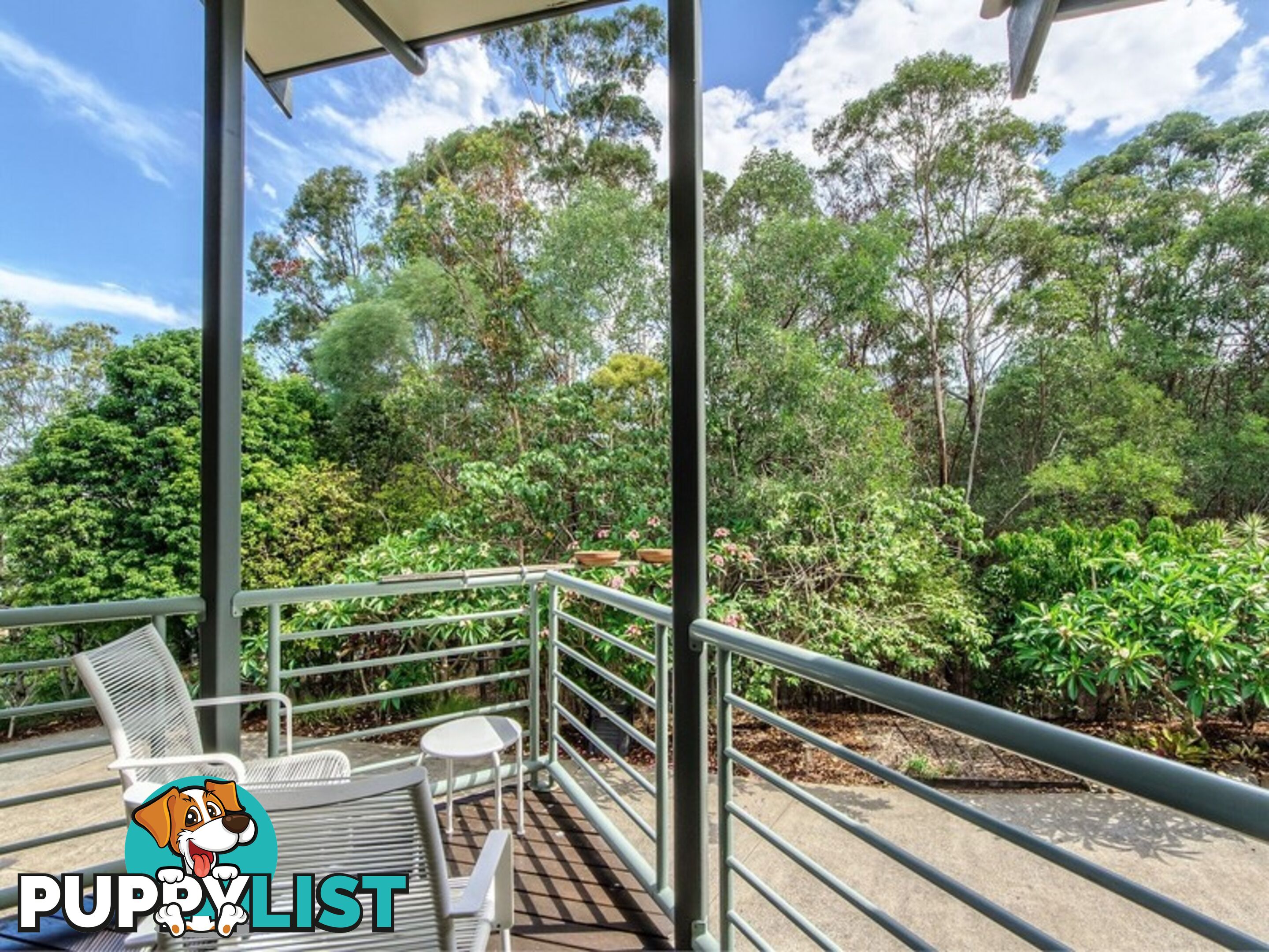 17 Killara Street Currumbin Waters QLD 4223