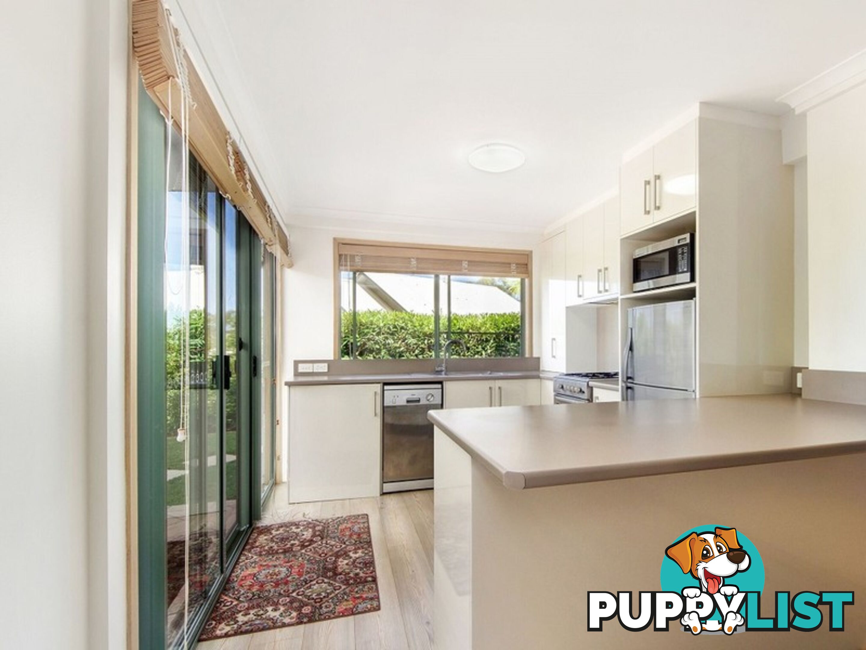 17 Killara Street Currumbin Waters QLD 4223