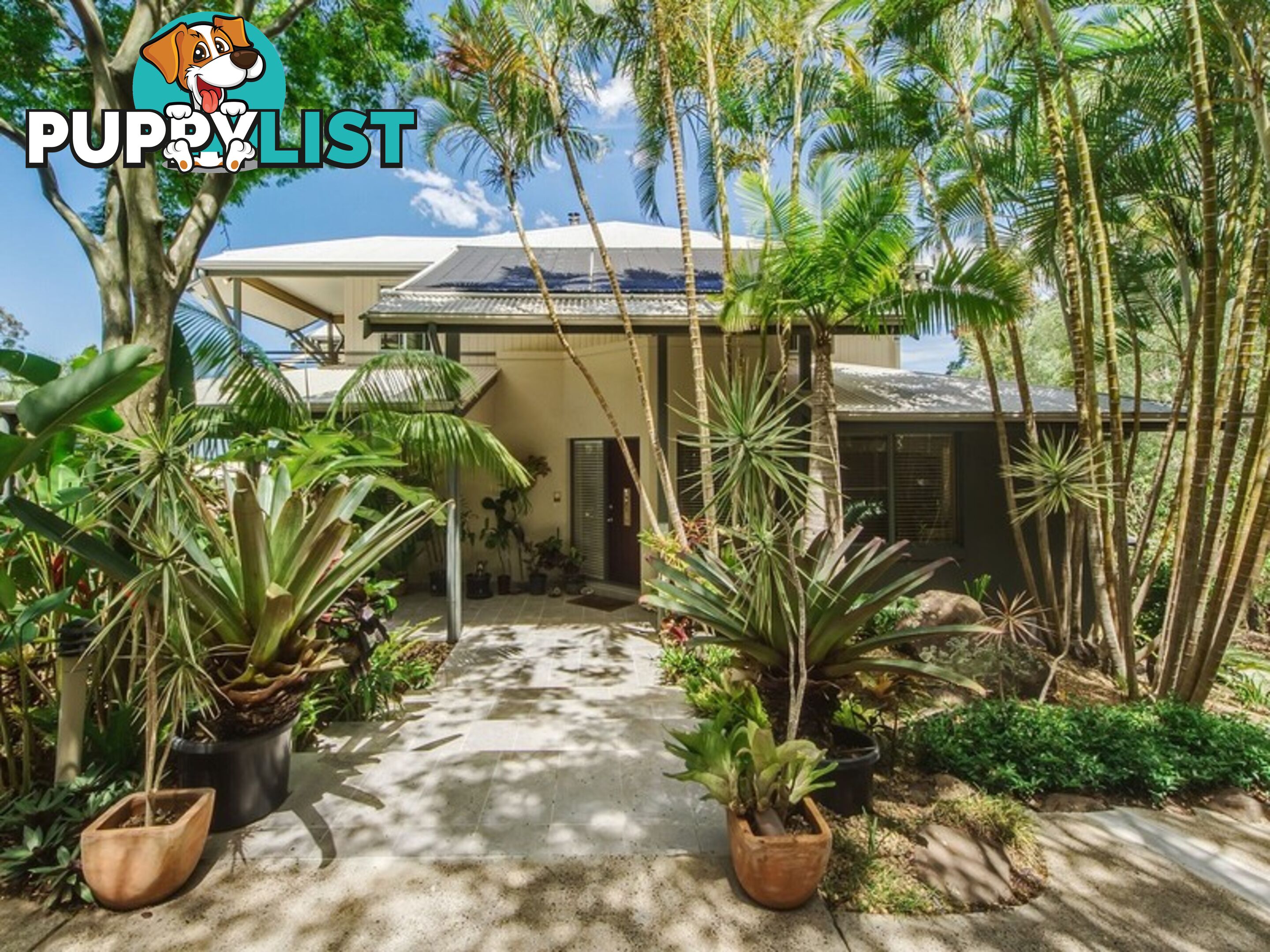 17 Killara Street Currumbin Waters QLD 4223