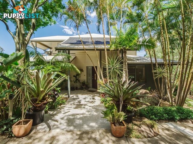 17 Killara Street Currumbin Waters QLD 4223