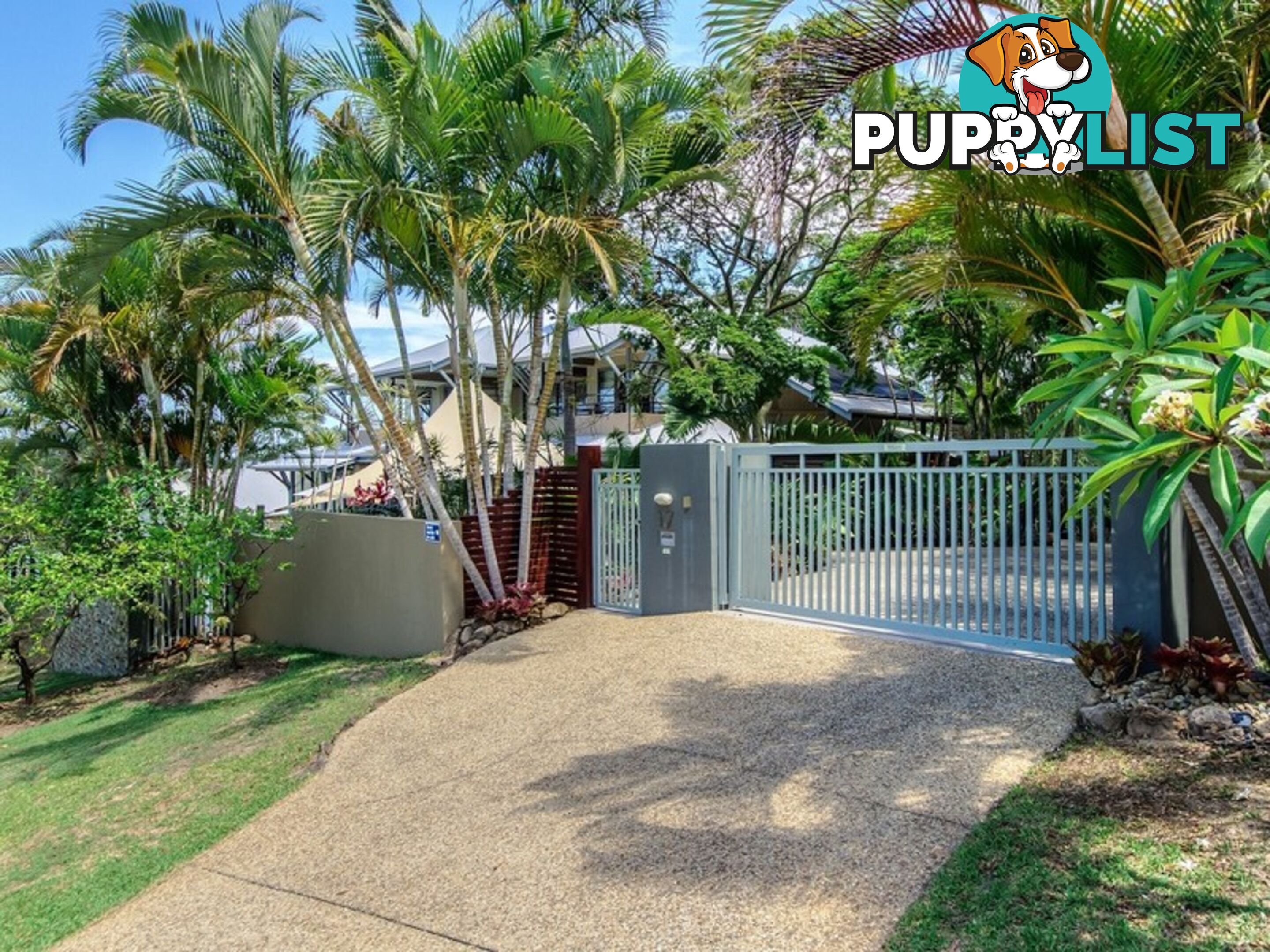 17 Killara Street Currumbin Waters QLD 4223