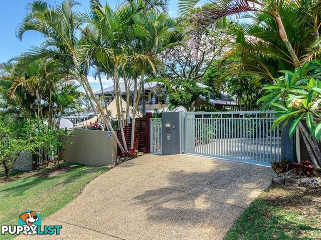 17 Killara Street Currumbin Waters QLD 4223