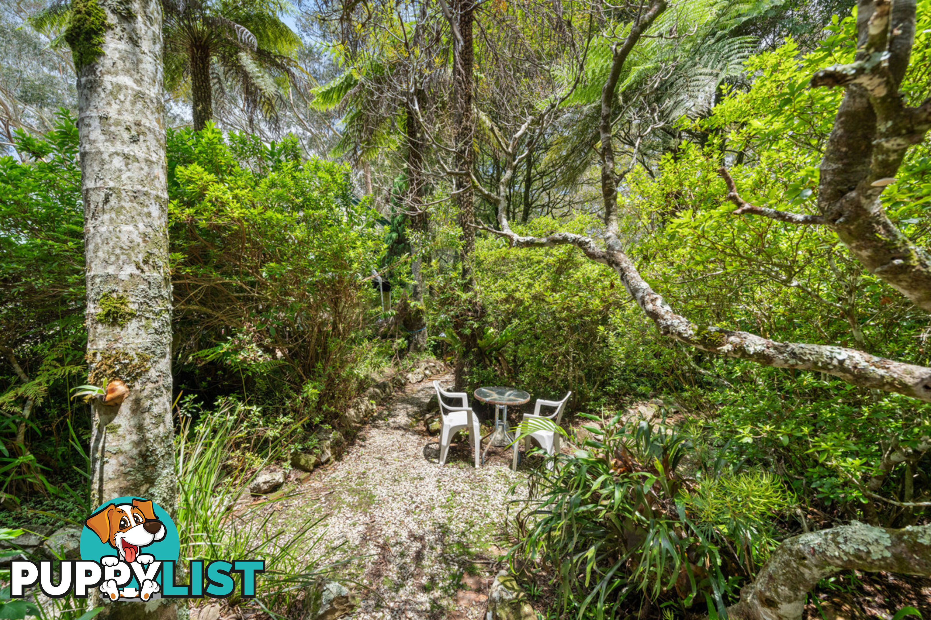 20 Canyon Parade SPRINGBROOK QLD 4213