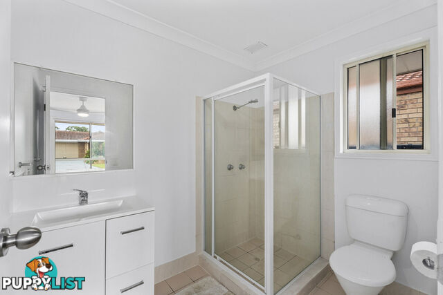 52 Numbat Court COOMBABAH QLD 4216